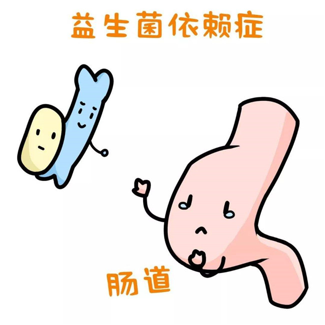 益生菌的作用與功效，益生菌的功能主治是什么