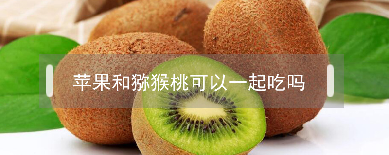 蘋(píng)果和獼猴桃可以一起吃嗎