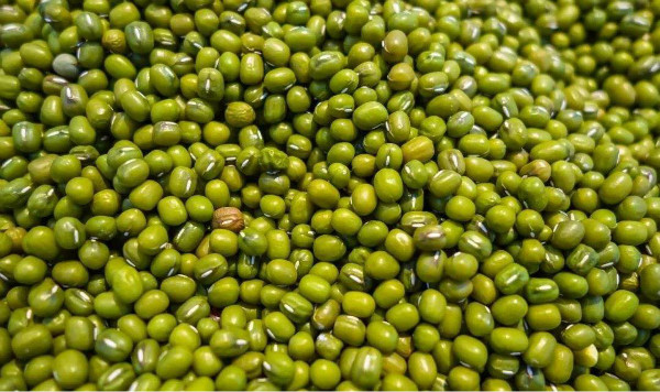 綠豆配什么熬粥最好，綠豆不可以和什么一起吃