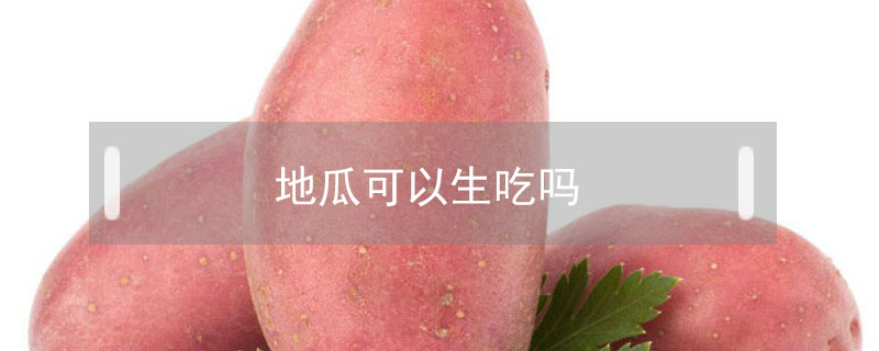 地瓜可以生吃嗎