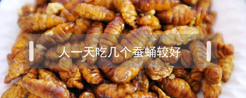 人一天吃幾個(gè)蠶蛹較好