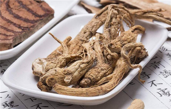 當歸能去除羊肉的膻味嗎
