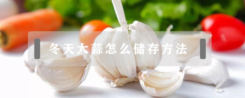 冬天大蒜怎么儲存方法