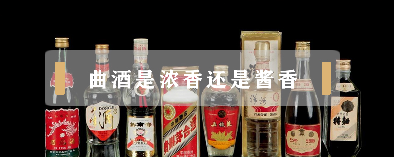 曲酒是濃香還是醬香