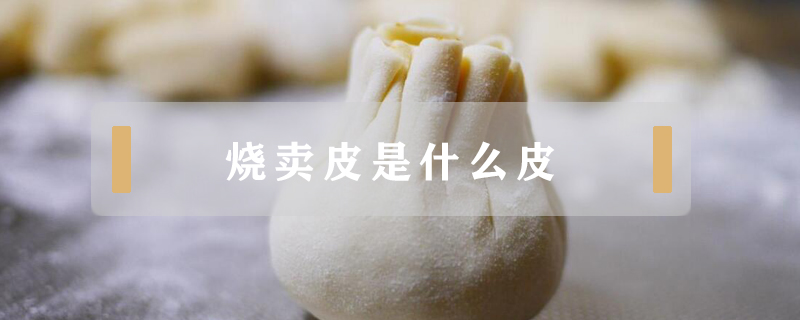 燒賣皮是什么皮