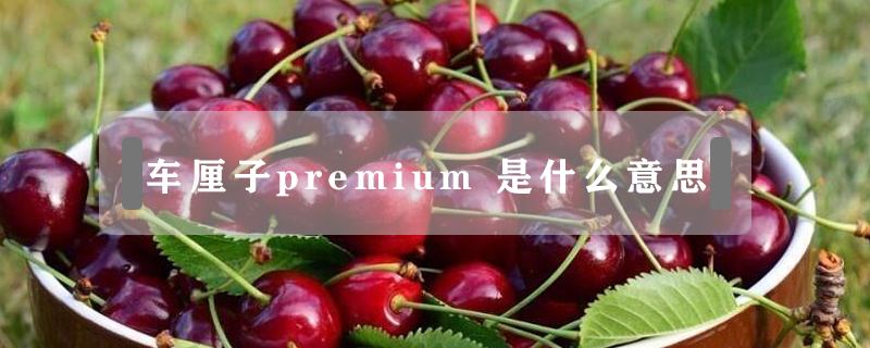 車(chē)?yán)遄觩remium 是什么意思