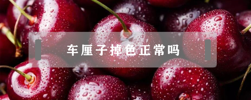 車(chē)?yán)遄拥羯?></a>
						<a href=