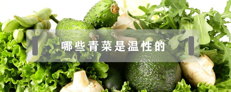 哪些青菜是溫性的