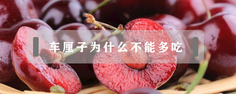 車(chē)?yán)遄訛槭裁床荒芏喑?></a>
						<a href=