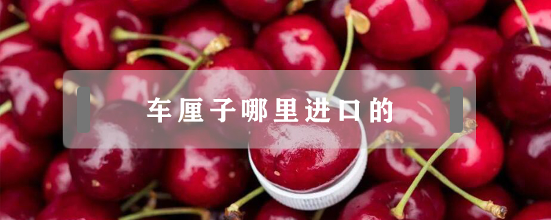 車(chē)?yán)遄幽睦镞M(jìn)口的