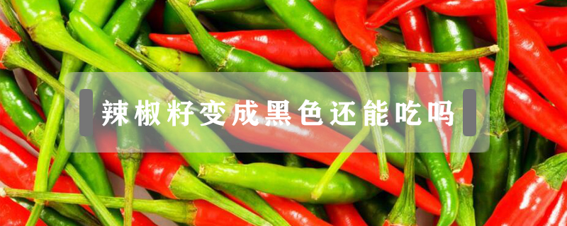 辣椒籽變成黑色還能吃嗎