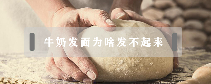 牛奶發(fā)面為啥發(fā)不起來