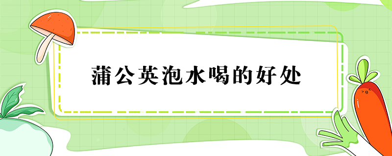 蒲公英泡水喝的好處