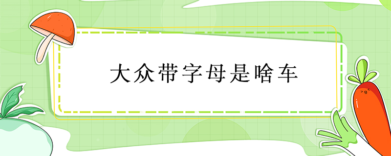 大眾帶字母是啥車