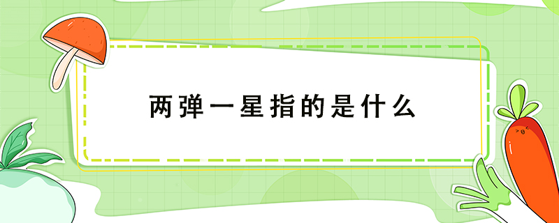 兩彈一星指的是什么