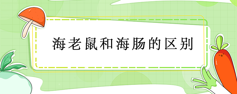 海老鼠和海腸的區別