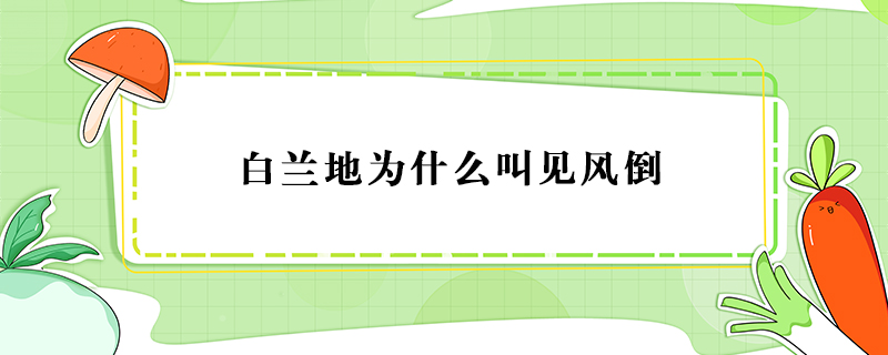 白蘭地為什么叫見風倒