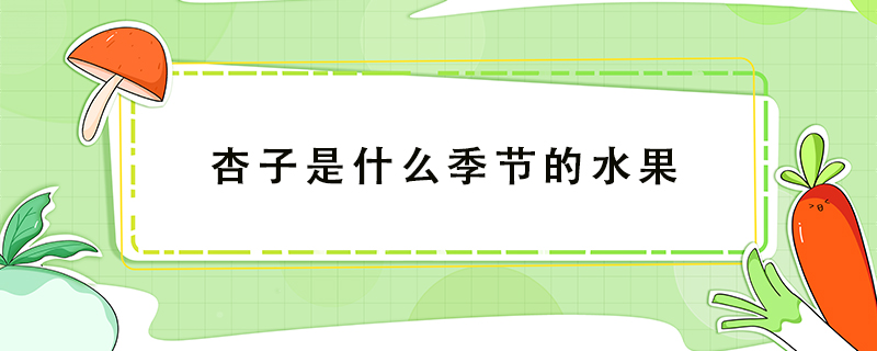 杏子是什么季節(jié)的水果