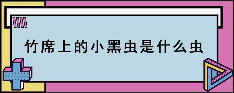 竹席上的小黑蟲是什么蟲